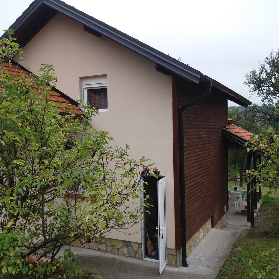 Vitas Kremna Ngoại thất bức ảnh